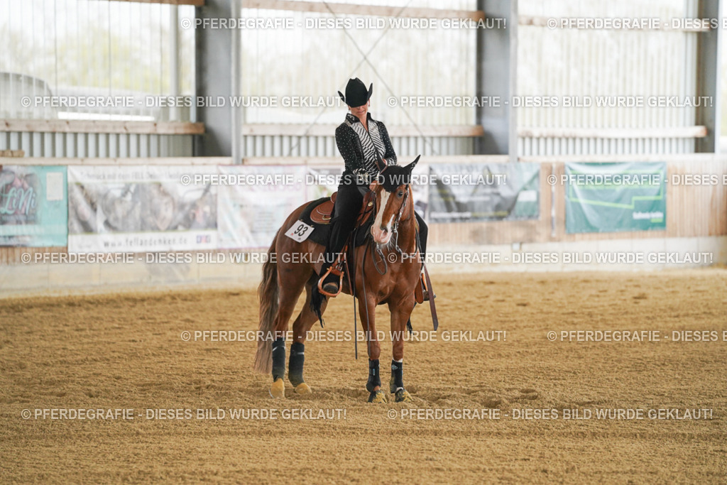 DSC07169 | Pferdegrafie