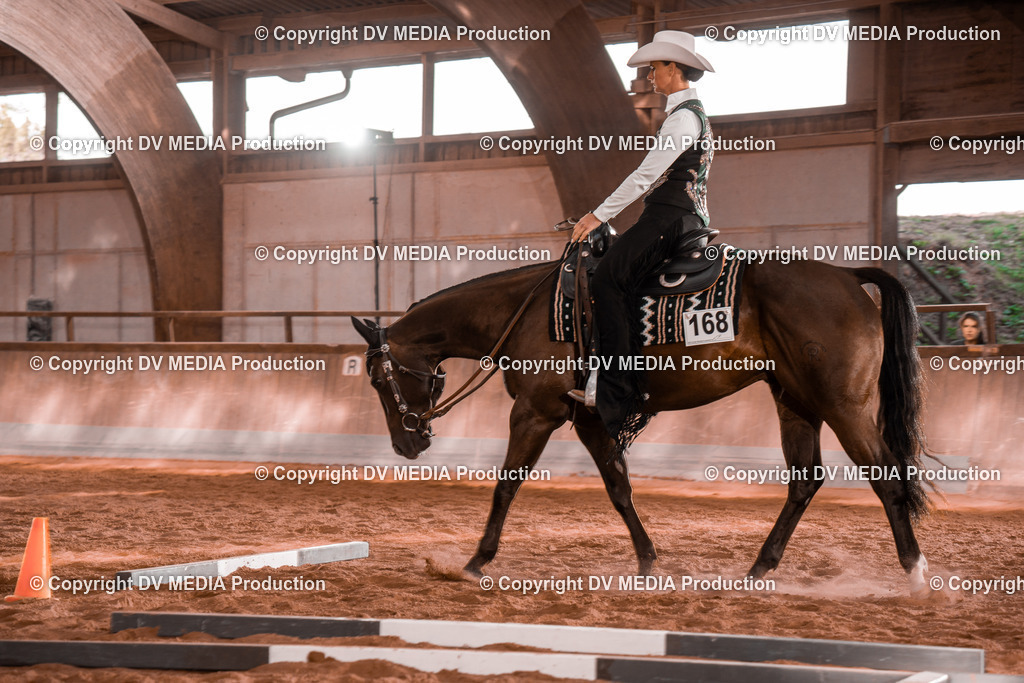 NE200142 | dv-media-shop - Realisiert mit Pictrs.com