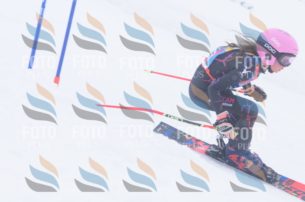 C2468 | holidayphoto