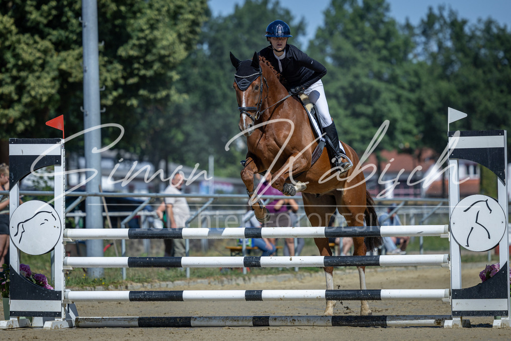 20260704-_3LI7535 | Tierfotografie Pferde, Hunde, Katzen, Haustiere.
Turnierfotografie Reitturniere, Reiten, Springreiten, Dressur in Hanau, dem Main-Kinzig-Kreis und dem Rhein-Main- Gebiet um Frankfurt