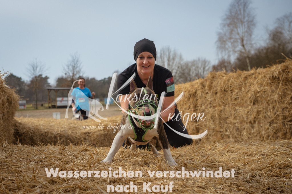 1134_ZZ94521 | kk-dogfotos