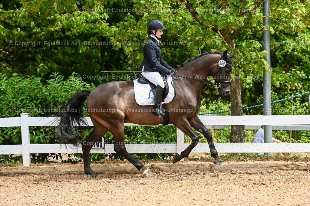 20230716_03_Dressurprfg. Kl.L - Tr._0362 | equistock