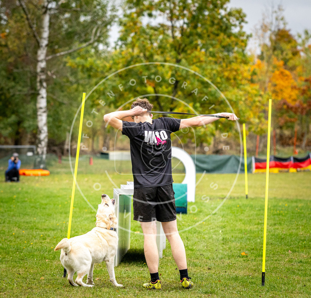 Pfotenfotografie_DV3A0653 | Hundefotografie, Tierfotograf, Pfotenfotografie, Fotoshooting Hund, Hunde Portrait, Hundesport, Hundeportraits, Heideshooting, Hunde, Sportfotograf, Hundefotograf, Turnierhundsport, THS,  - Realisiert mit Pictrs.com