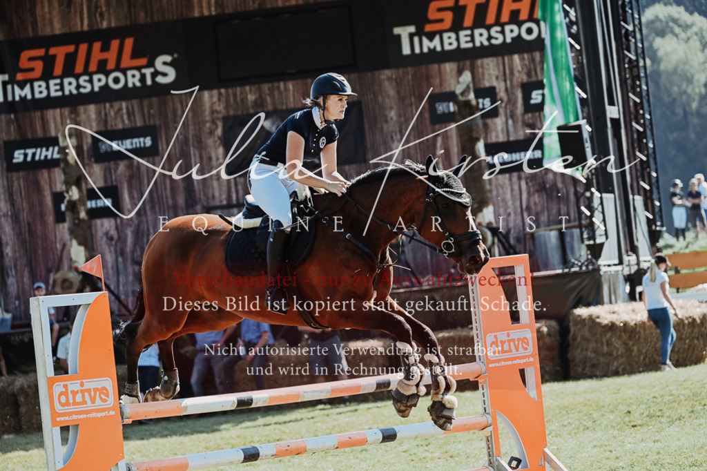 DSC_5817 | Pferde- und Turnierfotografie in Westsachsen. Pferdeportraits, Auftragszeichnungen und intuitive Kunst.