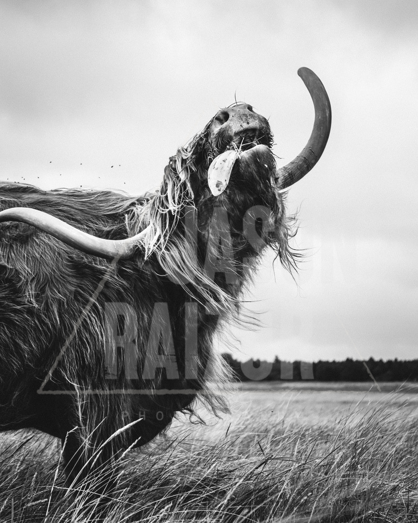 DSCF0972-2 | jasonraizor - Realisiert mit Pictrs.com