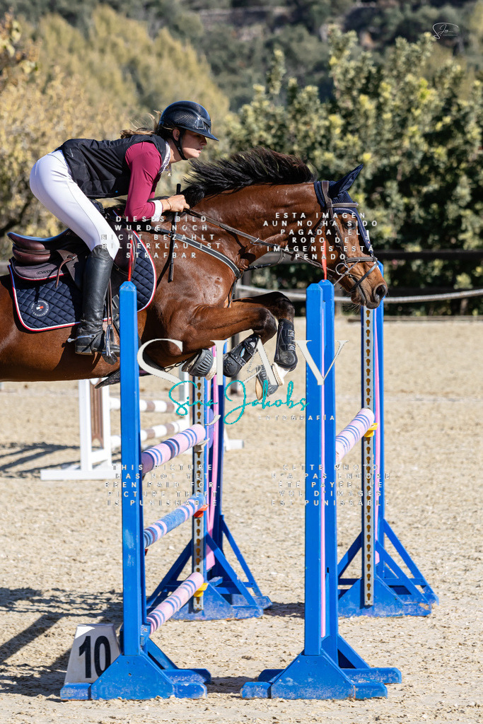 IMG_9886 | s-jay-photography - Realisiert mit Pictrs.com