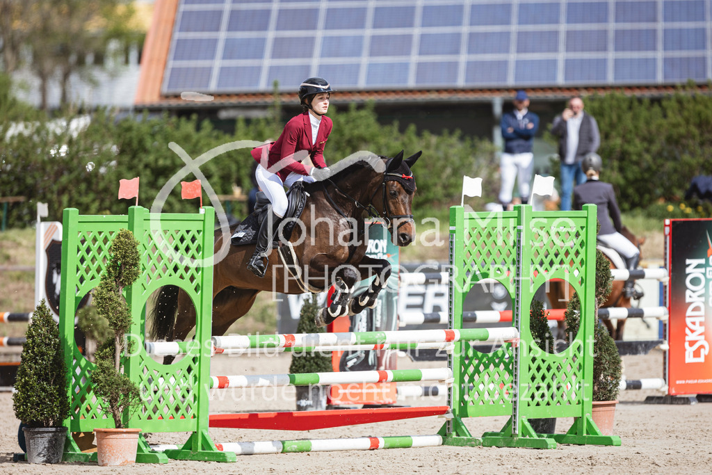 250419_Frühlingsfest_A-Stil1-481 | Deine schönsten Turniermomente als professionelle Fotos! Entdecke hochwertige Pferdesport-Fotografie im Online-Shop. Jetzt Fotos finden & bestellen!