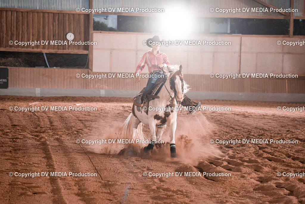 NE201512 | dv-media-shop - Realisiert mit Pictrs.com