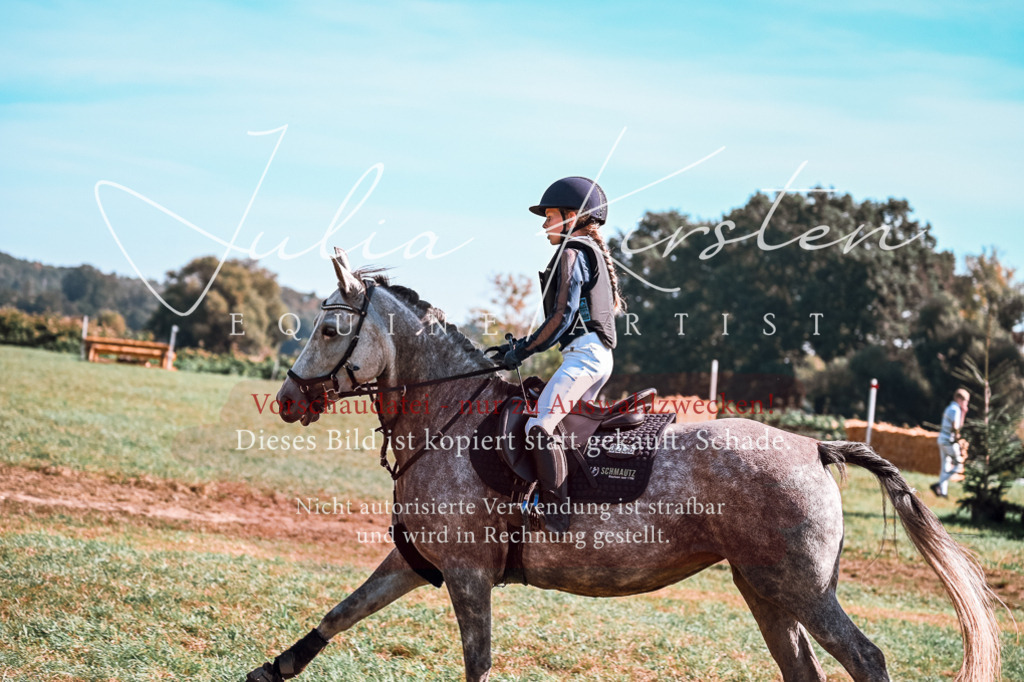 DSC_1150 | Pferde- und Turnierfotografie in Westsachsen. Pferdeportraits, Auftragszeichnungen und intuitive Kunst.