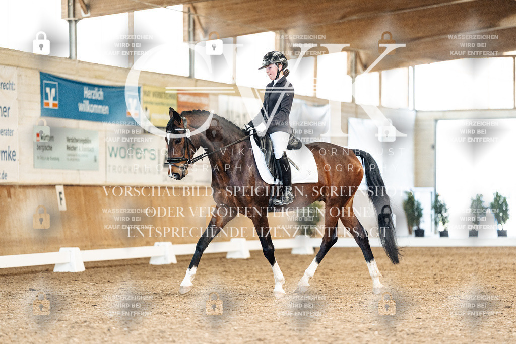 CK909912 | Turnierfotografie Pferdefotografie Trier Rheinland-Pfalz Pferdesport Reitsport Tierfotografie Sportfotografie Pferdevideo Pferdevideografie Equestrianvideography equestrianphotography  - Realisiert mit Pictrs.com