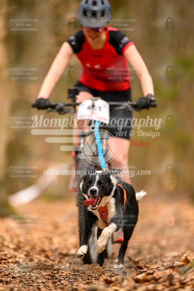 MompixPhotography_Habay2025_SA_Bike-151 | PayLife
