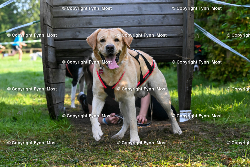 DSC_4418 | Hallo und herzlich Willkommen auf meiner Shop-Seite Fynn Most.

Ich wünsche Dir viel Spaß beim stöbern durch die Bilder, wenn Du Fragen hast oder Bilder vermisst, kannst du mir gerne eine Nachricht schreiben. - Realisiert mit Pictrs.com