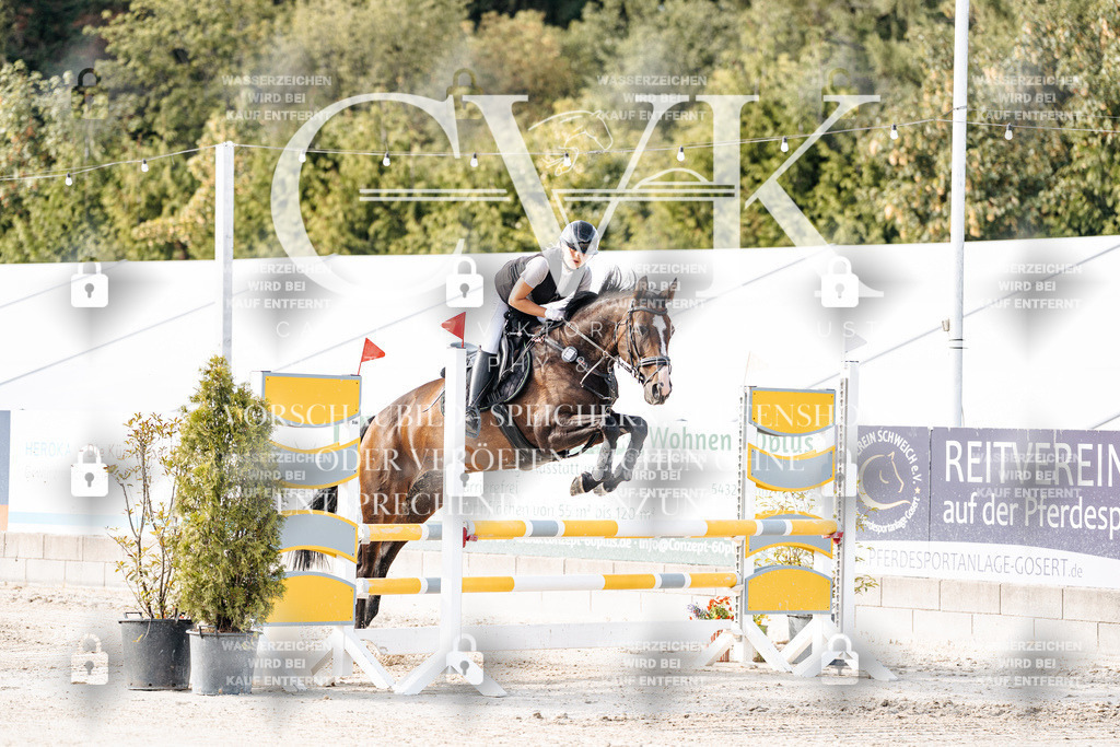 CK906129 | Turnierfotografie Pferdefotografie Trier Rheinland-Pfalz Pferdesport Reitsport Tierfotografie Sportfotografie Pferdevideo Pferdevideografie Equestrianvideography equestrianphotography  - Realisiert mit Pictrs.com