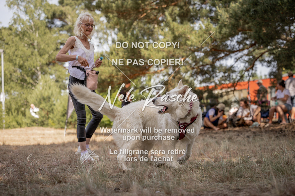 nelerasche_soDD2_188 | nelerasche
