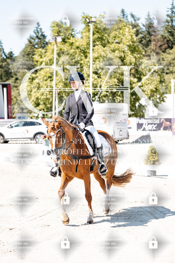 CK902225 | Turnierfotografie Pferdefotografie Trier Rheinland-Pfalz Pferdesport Reitsport Tierfotografie Sportfotografie Pferdevideo Pferdevideografie Equestrianvideography equestrianphotography  - Realisiert mit Pictrs.com