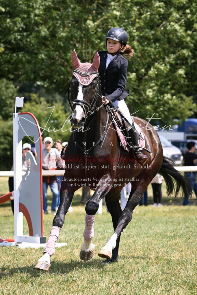 DSC_9364 | Pferde- und Turnierfotografie in Westsachsen. Pferdeportraits, Auftragszeichnungen und intuitive Kunst.