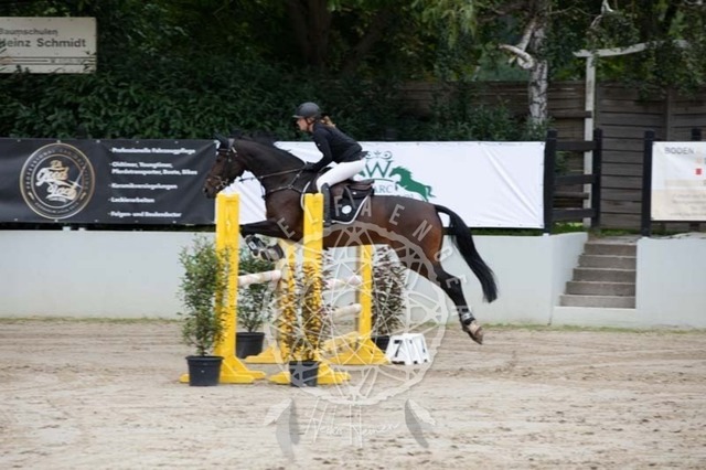 2B4A1651 | pixelfaenger - Realisiert mit Pictrs.com