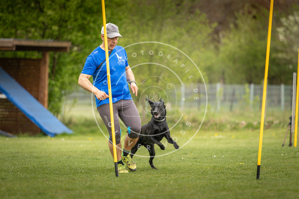 Pfotenfotografie_DV3A7186 | Hundefotografie, Tierfotograf, Pfotenfotografie, Fotoshooting Hund, Hunde Portrait, Hundesport, Hundeportraits, Heideshooting, Hunde, Sportfotograf, Hundefotograf, Turnierhundsport, THS,  - Realisiert mit Pictrs.com