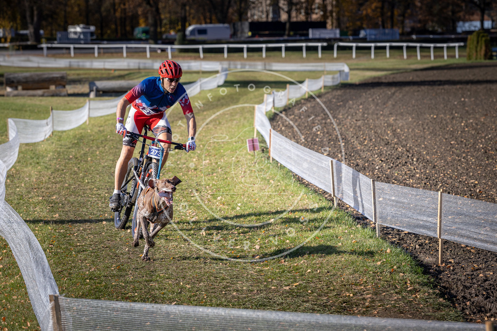 CaniXpix_DV3A5269 | Hundefotografie, Tierfotograf, Pfotenfotografie, Fotoshooting Hund, Hunde Portrait, Hundesport, Hundeportraits, Heideshooting, Hunde, Sportfotograf, Hundefotograf, Turnierhundsport, THS,  - Realisiert mit Pictrs.com