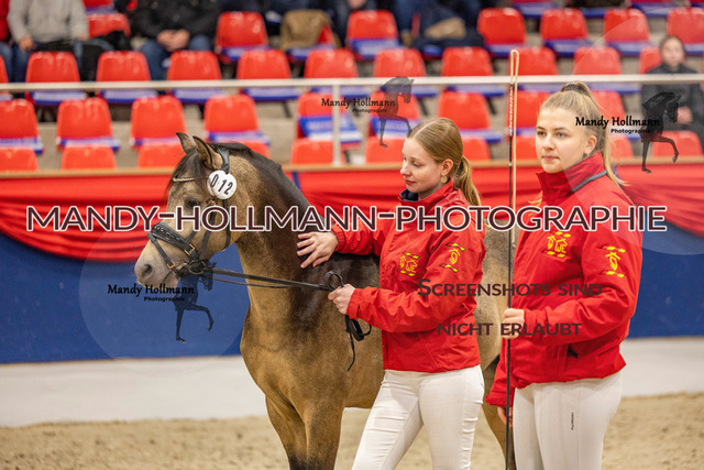 KWESR (125 von 688) | mandyhollmannphotographie