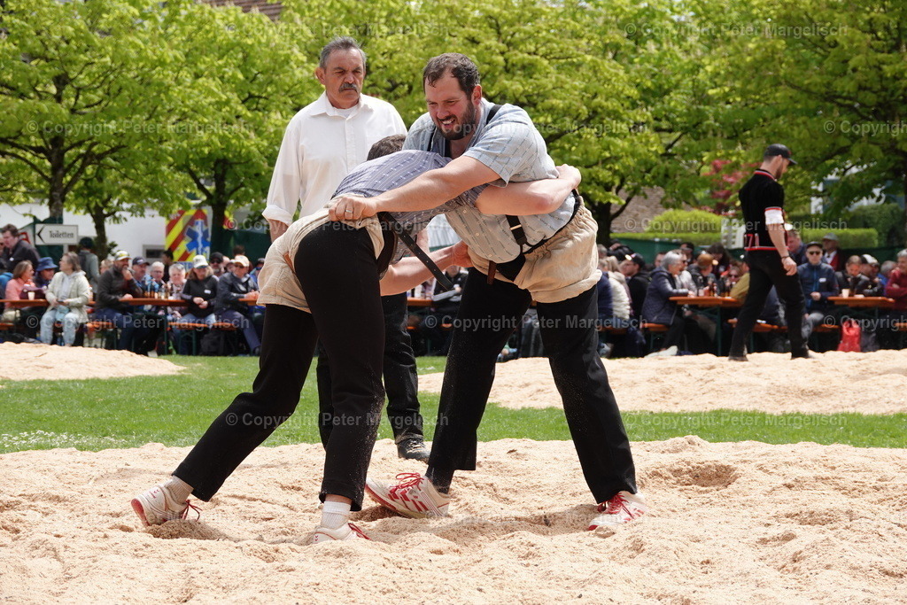 DSC00577 | Schwingen - Realisiert mit Pictrs.com