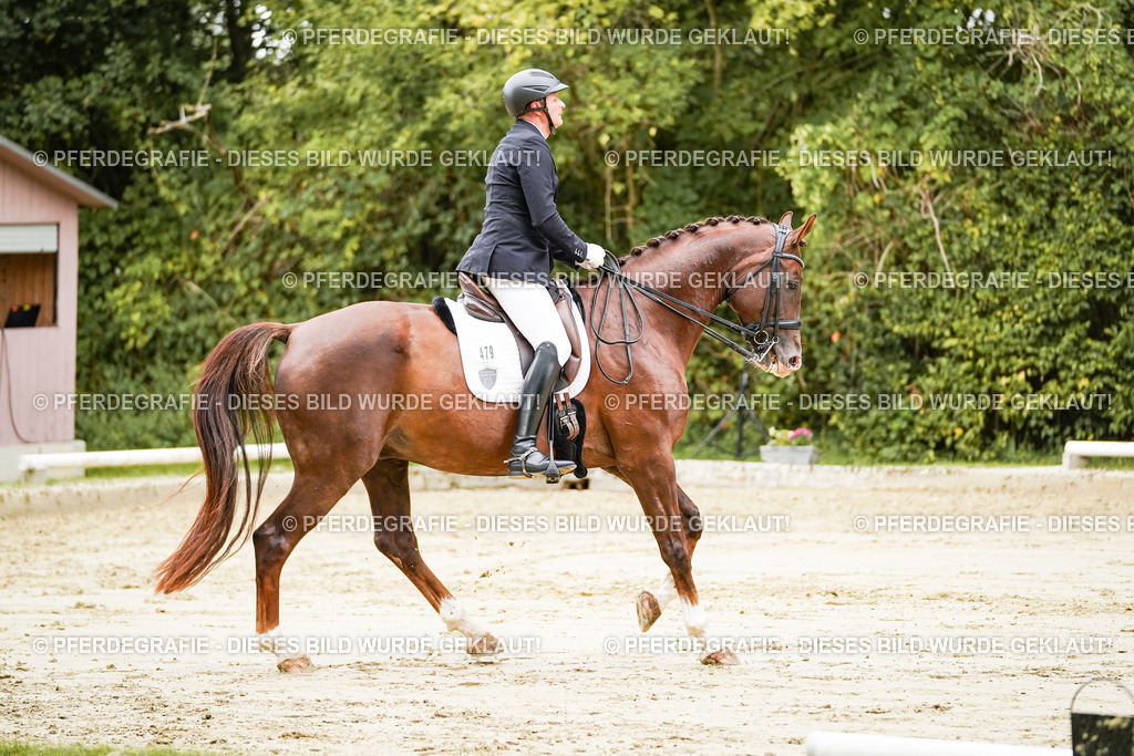 DSC03747 | Pferdegrafie