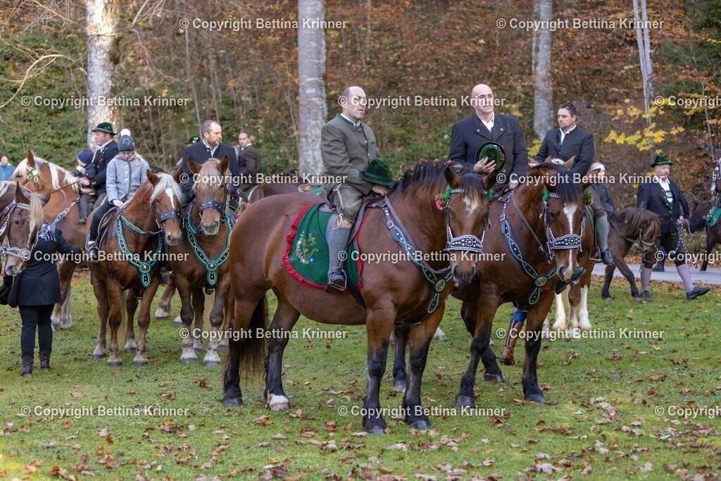 LL24-244 | foto-bettina-krinner - Realisiert mit Pictrs.com
