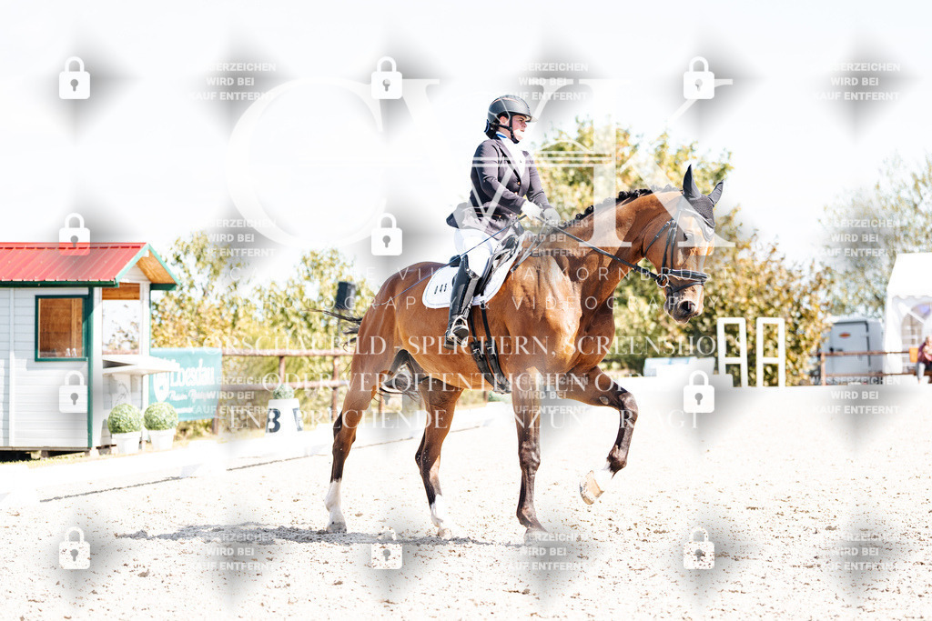 CK903203 | Turnierfotografie Pferdefotografie Trier Rheinland-Pfalz Pferdesport Reitsport Tierfotografie Sportfotografie Pferdevideo Pferdevideografie Equestrianvideography equestrianphotography  - Realisiert mit Pictrs.com