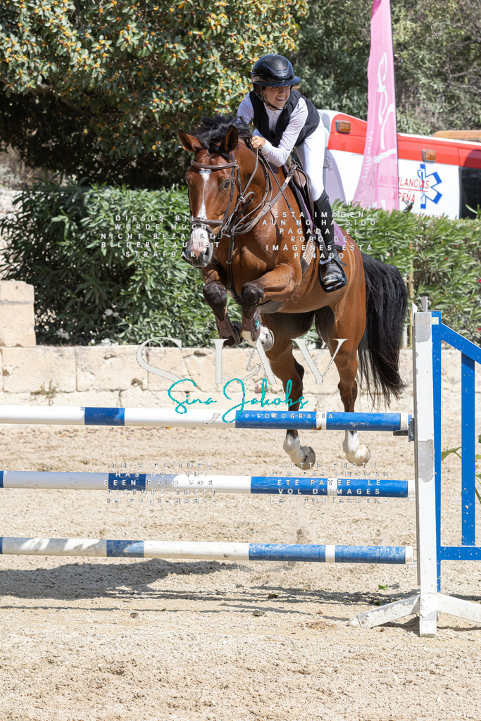 IMG_3785 | s-jay-photography - Realisiert mit Pictrs.com