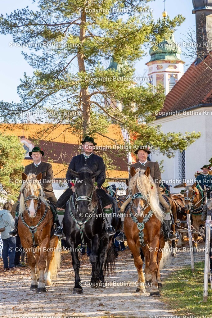 LBT25-1372 | foto-bettina-krinner - Realisiert mit Pictrs.com