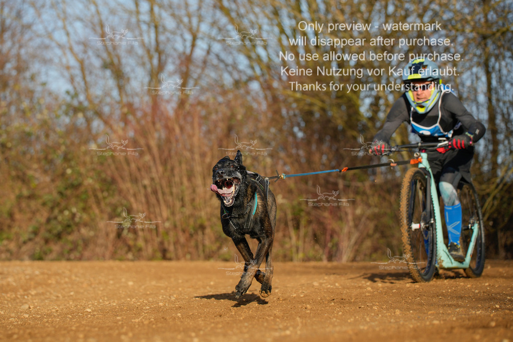 So_DVGBSP2025_Scooter (15 von 286) | stephaniefillaphotographie - Realisiert mit Pictrs.com