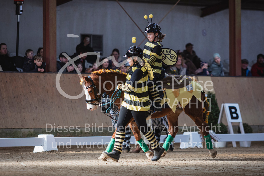 250316_HF-Schwm_Fuehrzuegel-128 | Deine schönsten Turniermomente als professionelle Fotos! Entdecke hochwertige Pferdesport-Fotografie im Online-Shop. Jetzt Fotos finden & bestellen!