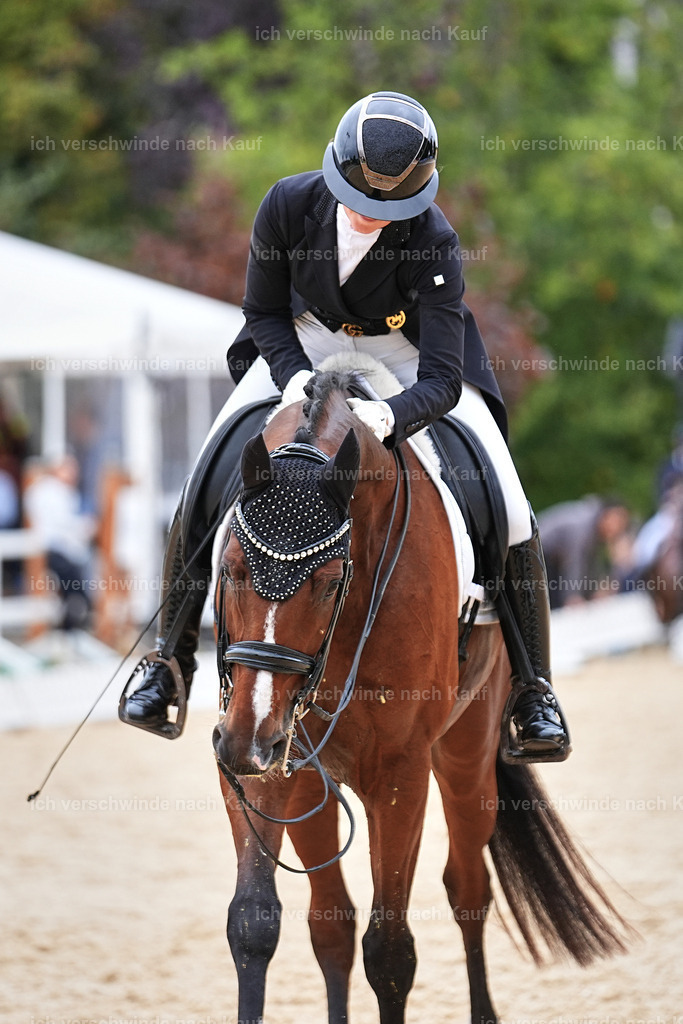 11-048-Dressur S___-Marixx-1531 | working equitationturnier fotograf videograf stoibphotography marixx film working equitation deutschland reitsport turnierfotografie eventfotografie equestrian events