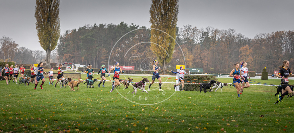 CaniXpix_DV3A8765 | Hundefotografie, Tierfotograf, Pfotenfotografie, Fotoshooting Hund, Hunde Portrait, Hundesport, Hundeportraits, Heideshooting, Hunde, Sportfotograf, Hundefotograf, Turnierhundsport, THS,  - Realisiert mit Pictrs.com