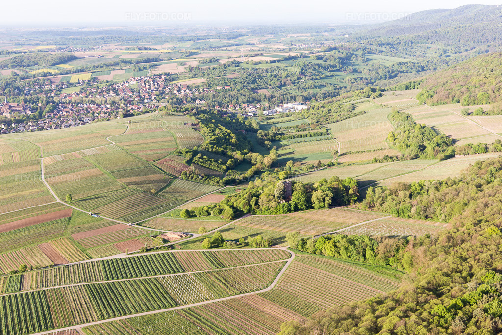 Aerial view: Sonnenberg in Wissembourg in the state Bas-Rhin, France. – Photo: IMG_107007.jpg taken on 04/27/2018 by Werner Riehm/FLY-FOTO.com – Resolution of the original: 5472 x 3648 px