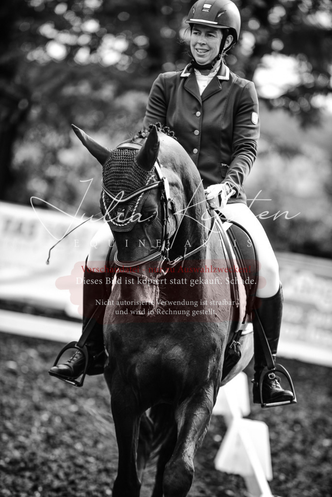 DSC_3028 | Pferde- und Turnierfotografie in Westsachsen. Pferdeportraits, Auftragszeichnungen und intuitive Kunst.