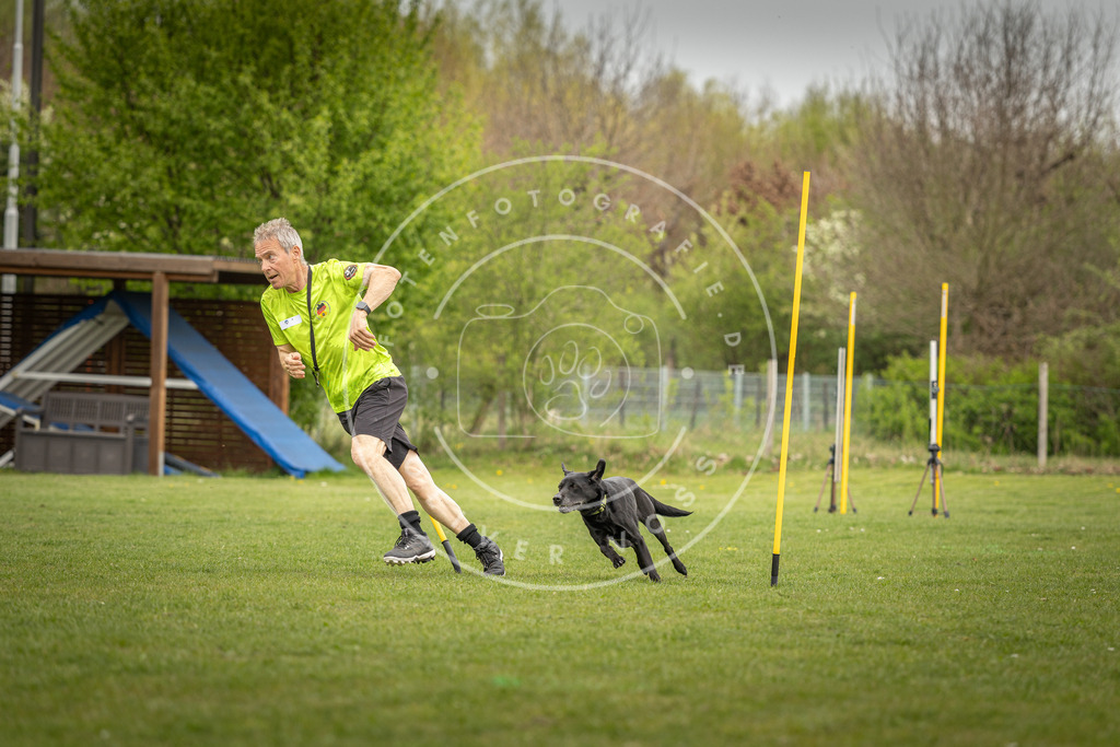Pfotenfotografie_DV3A7636 | Hundefotografie, Tierfotograf, Pfotenfotografie, Fotoshooting Hund, Hunde Portrait, Hundesport, Hundeportraits, Heideshooting, Hunde, Sportfotograf, Hundefotograf, Turnierhundsport, THS,  - Realisiert mit Pictrs.com