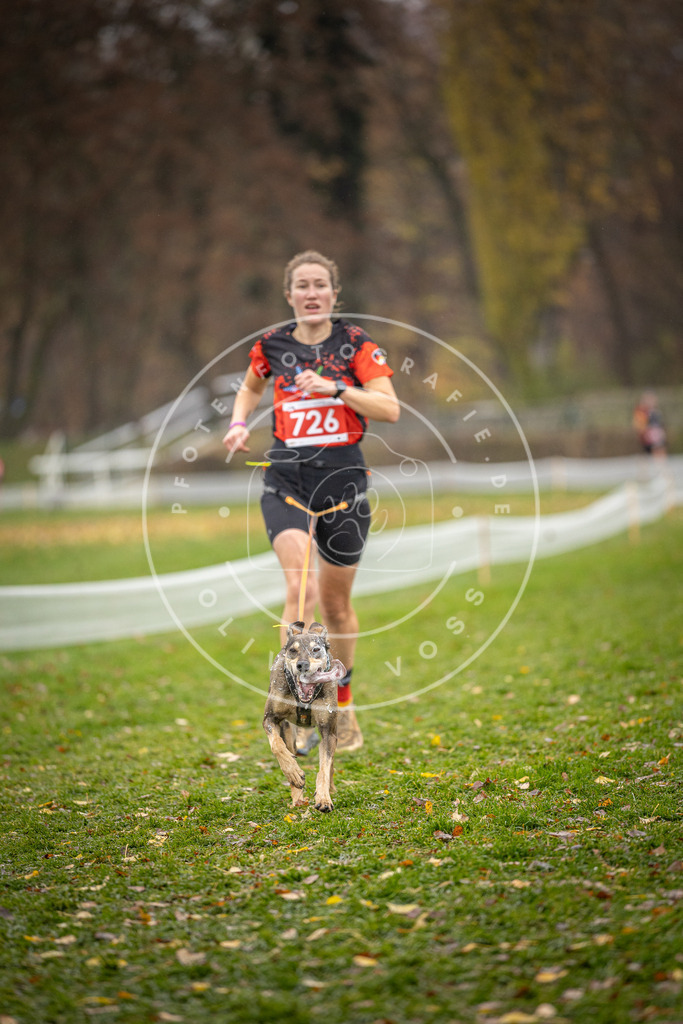 CaniXpix_DV3A9276 | Hundefotografie, Tierfotograf, Pfotenfotografie, Fotoshooting Hund, Hunde Portrait, Hundesport, Hundeportraits, Heideshooting, Hunde, Sportfotograf, Hundefotograf, Turnierhundsport, THS,  - Realisiert mit Pictrs.com