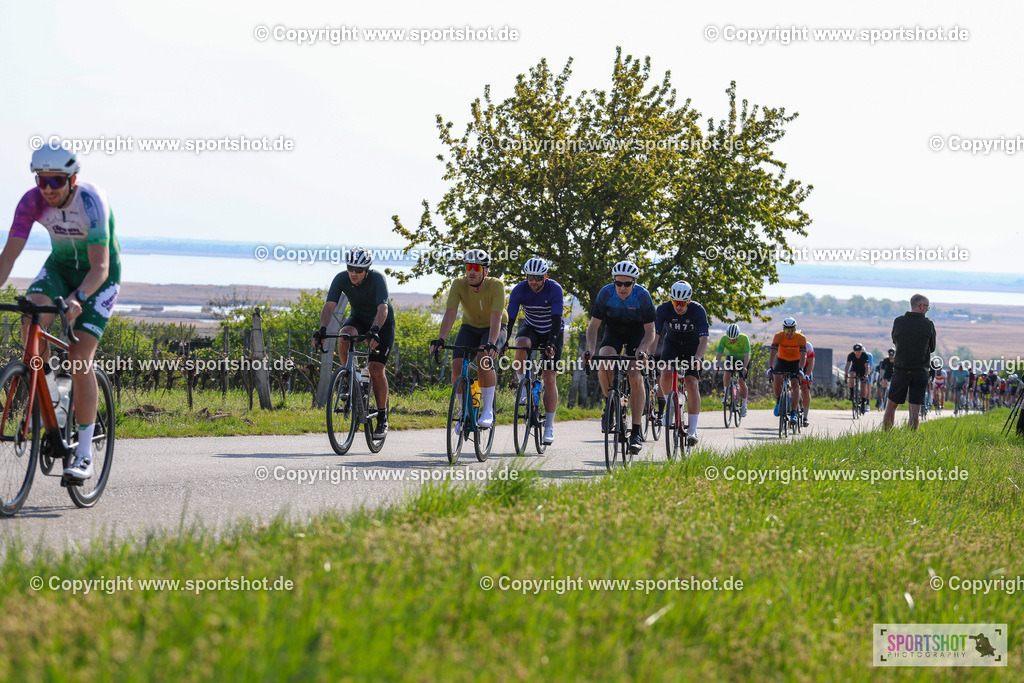 IMG_0985 | @sportshot_your_pictrs #yourpictures#roadtowm2029 #nrm #neusiedlerseeradmarathon #neusiedlersee #neusiedlerseetourismus #burgenland #mörbisch #nrm26 #burgenlandtourismus #voglundco #poweredbyburgenlandtourismus #radsport #rad #marathon #ucigranfondo #visitburgenland #ucigranfondoworldseries