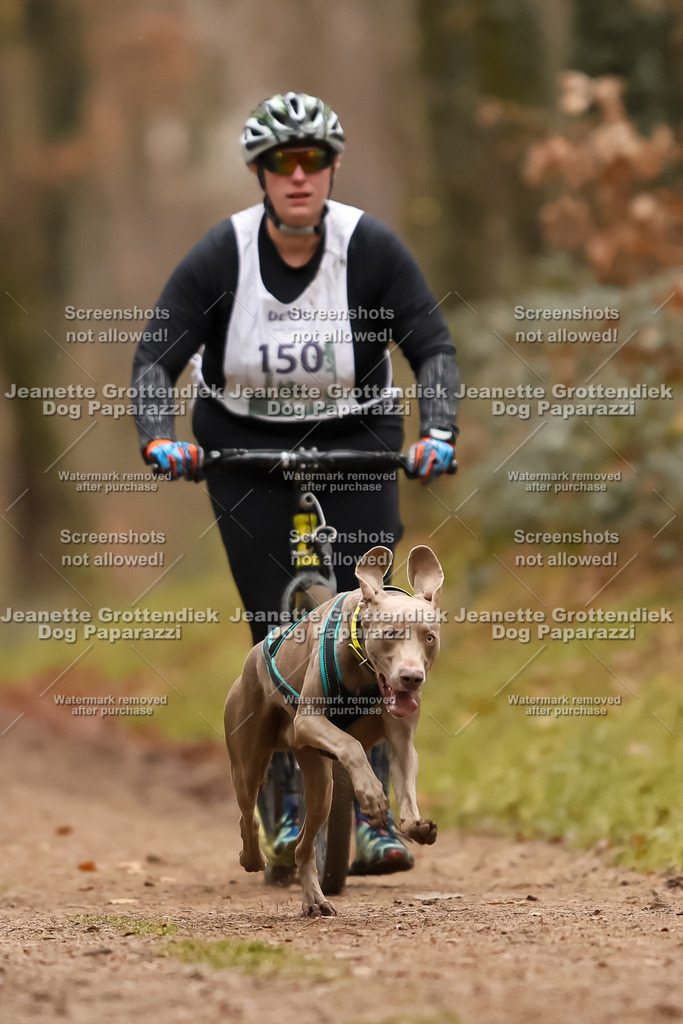 Dog Paparazzi - Speedhunter Mannheim  2025-415 | Dog Paparazzi Jeanette Grottendiek Fotografie & Videografie