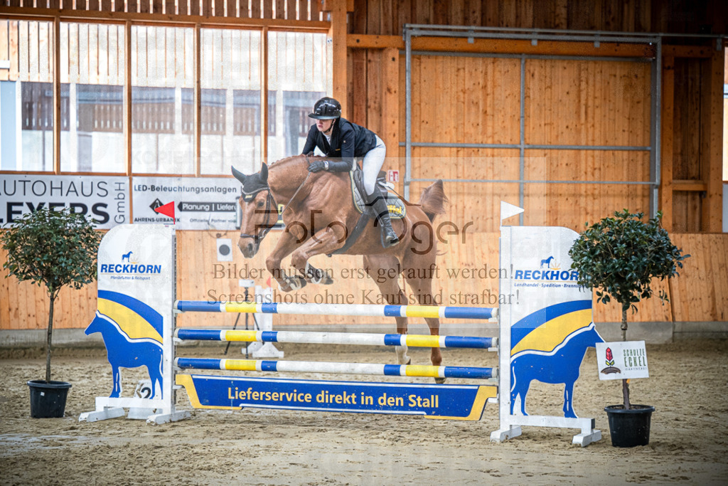 DOS_1985 | Entdecke hochwertige Reitturnierfotos von Foto Oger. Professionell, emotional und authentisch – jetzt Lieblingsmomente im Shop bestellen.Deutschlandweite Turnierfotografie. - Realisiert mit Pictrs.com