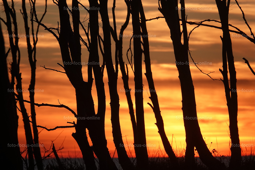 3 | foto-focus-online