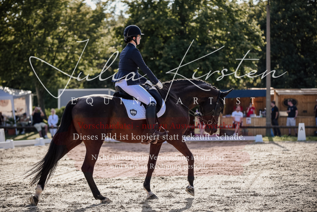 DSC_0564 | Pferde- und Turnierfotografie in Westsachsen. Pferdeportraits, Auftragszeichnungen und intuitive Kunst.