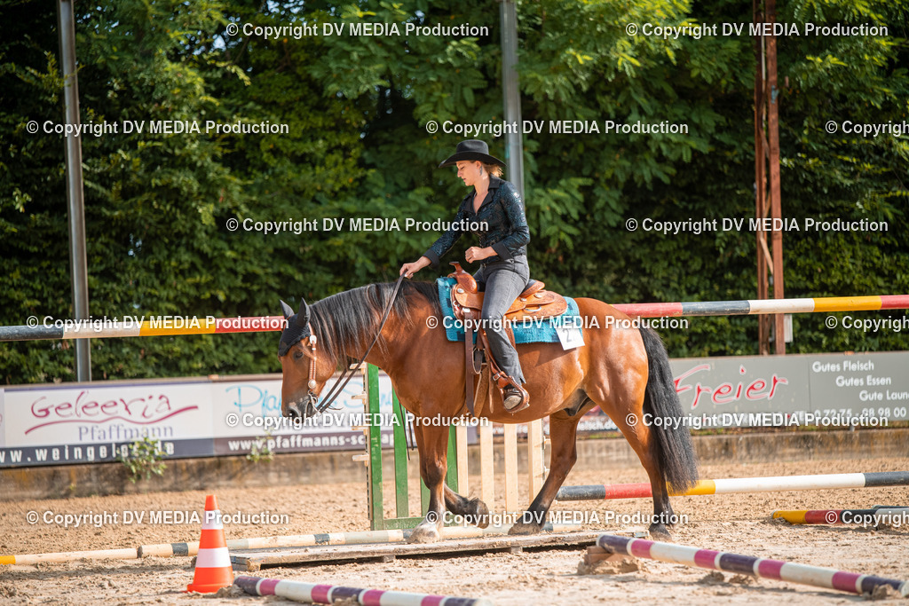 ZS3_9134 | dv-media-shop - Realisiert mit Pictrs.com