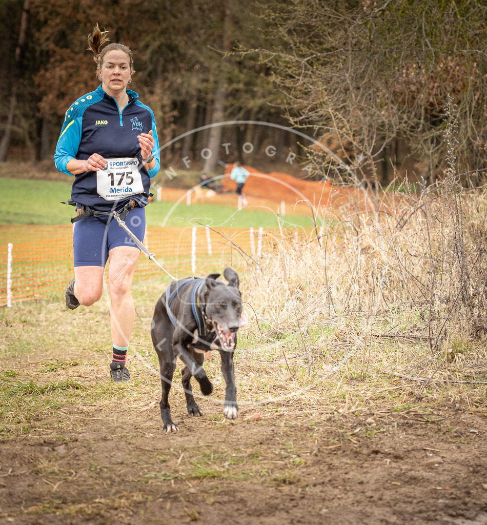 DV3A2342 | Hundefotografie, Tierfotograf, Pfotenfotografie, Fotoshooting Hund, Hunde Portrait, Hundesport, Hundeportraits, Heideshooting, Hunde, Sportfotograf, Hundefotograf, Turnierhundsport, THS,  - Realisiert mit Pictrs.com