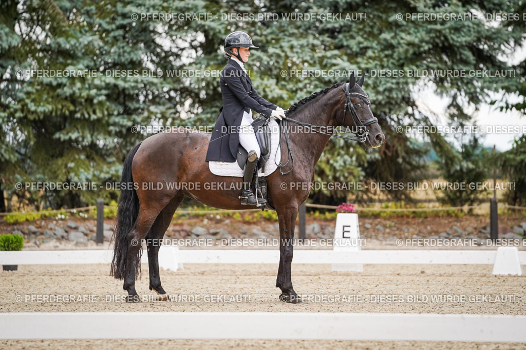 DSC07004 | Pferdegrafie