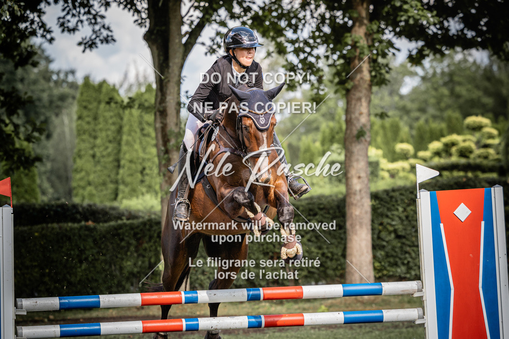 nelerasche_SprL115Ede_51 | nelerasche