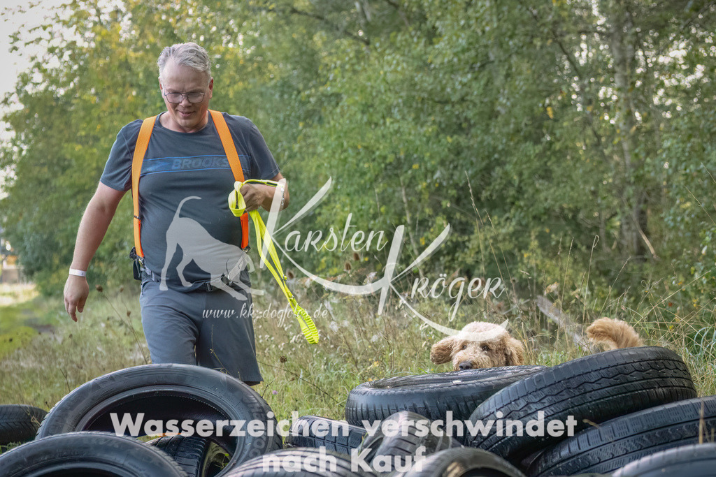 1017_ZZ94246-Bearbeitet | kk-dogfotos