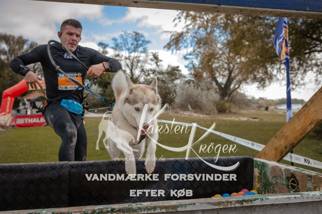 1341_ZZ91808-2 | kk-dogfotos