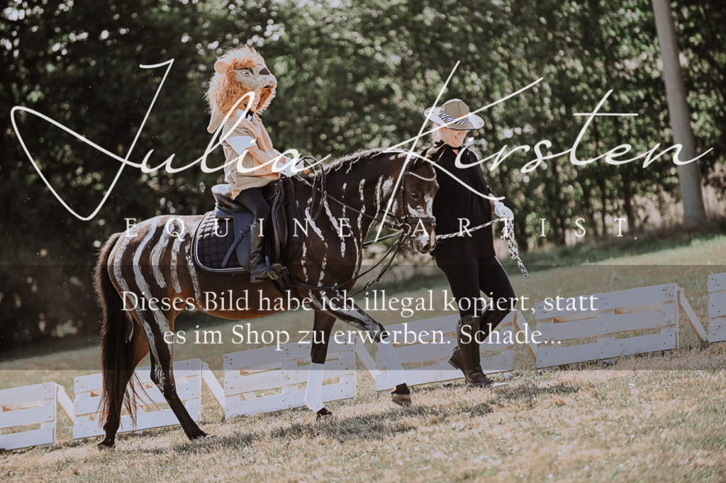 DSC_9087 | Pferde- und Turnierfotografie in Westsachsen. Pferdeportraits, Auftragszeichnungen und intuitive Kunst.